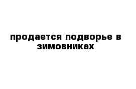 продается подворье в зимовниках